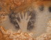 First Cave Artists May Have Been Mostly Women, New Study Suggests