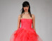 Vera Wang's Fall 2014 Bridal Collection Features All Pink Dresses (PHOTOS)