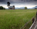 In the Yellowstone Valley, a Beet Farmer With an Artist's Soul