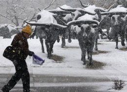 dallas tx snow