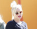 Pregnant Gwen Stefani Goes Pumpkin Picking With Her Family