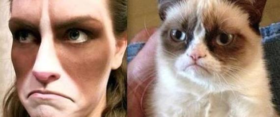 GRUMPY CAT