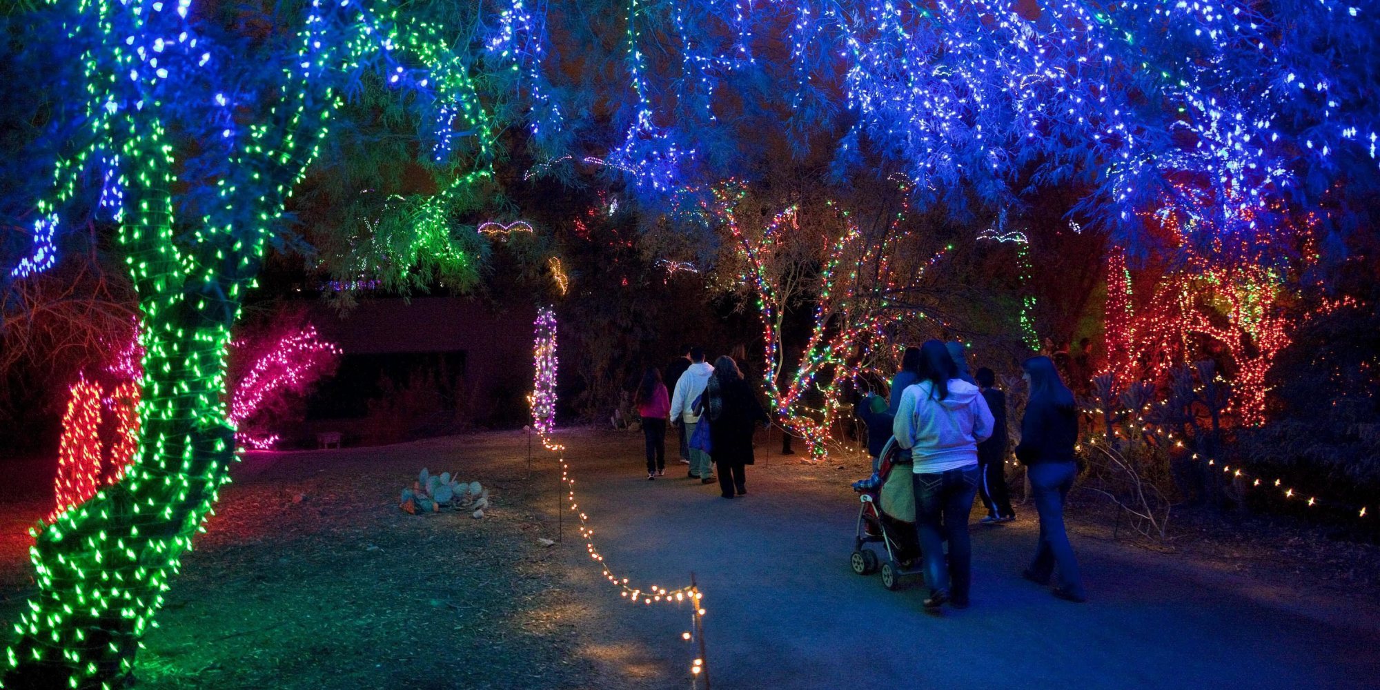 Zoolights Still A Go As Calgary Zoo Set To Fully Reopen