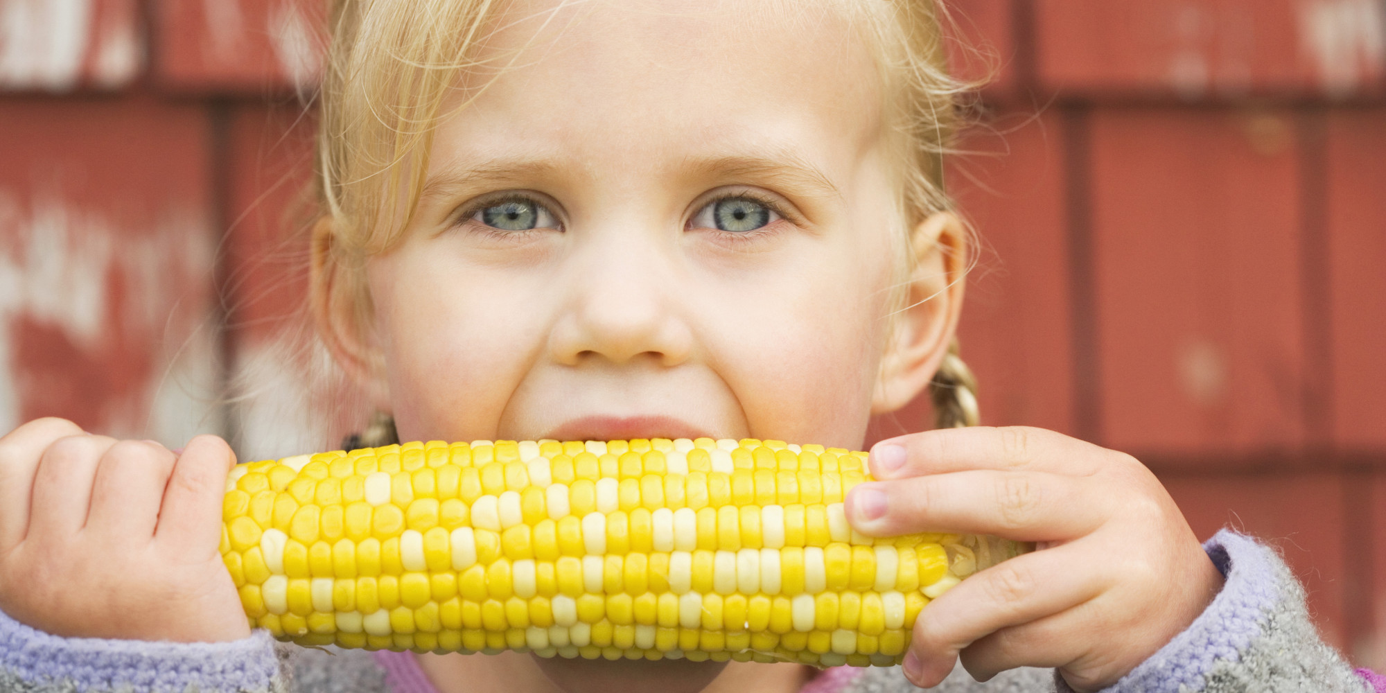 Table Talk What Are GMOs? HuffPost