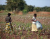 7 Things to Know About Fair Trade