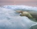 Wildlife Photographer Of The Year 2013: Jaw-Dropping, Award-Winning Photos