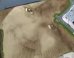 Artist's Stunning 11-Acre Portrait Can Only Be Seen From A Plane