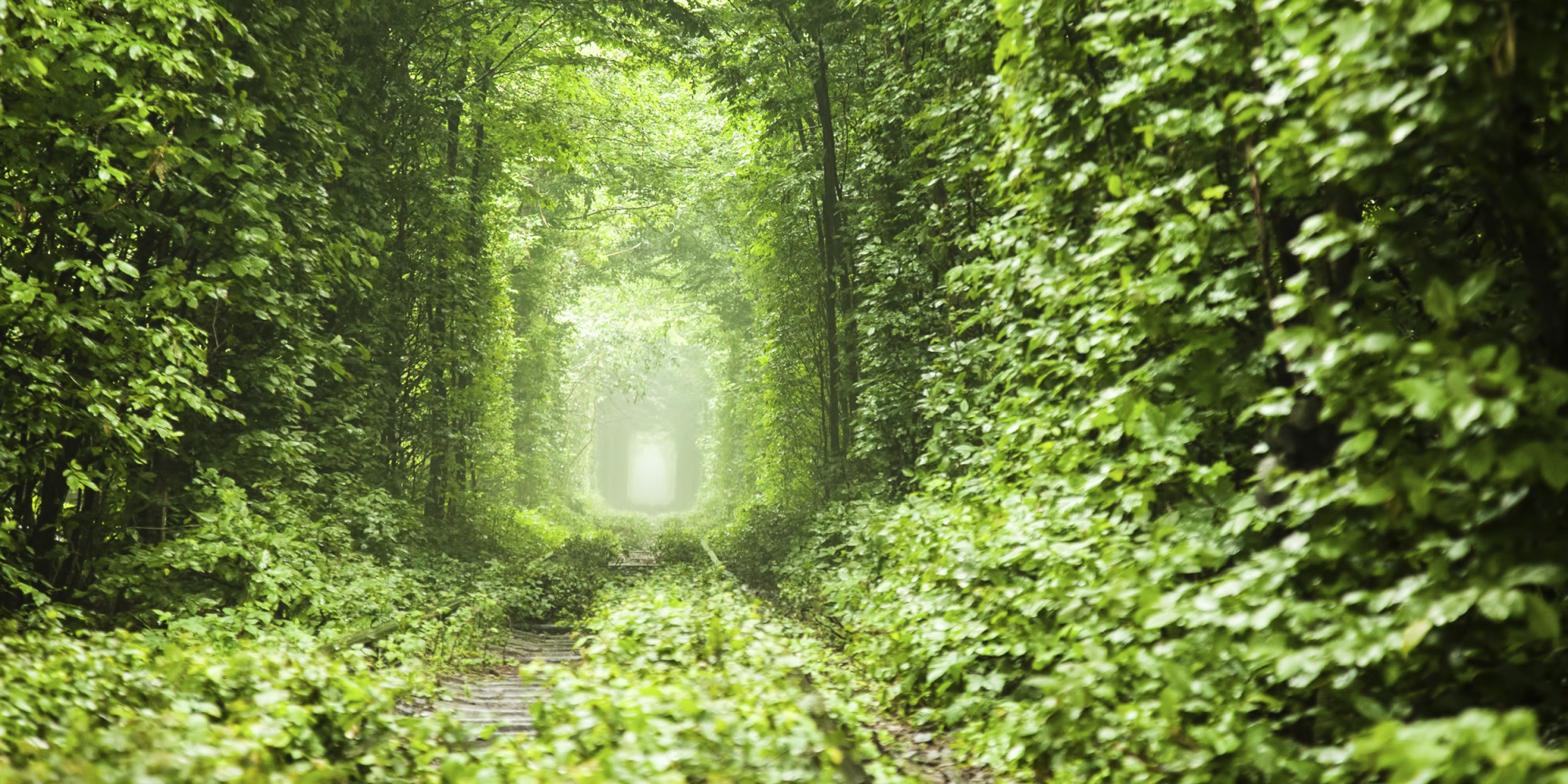 With "Biophony," Alonzo King LINES Ballet Delves Into Nature - Huffington Post
