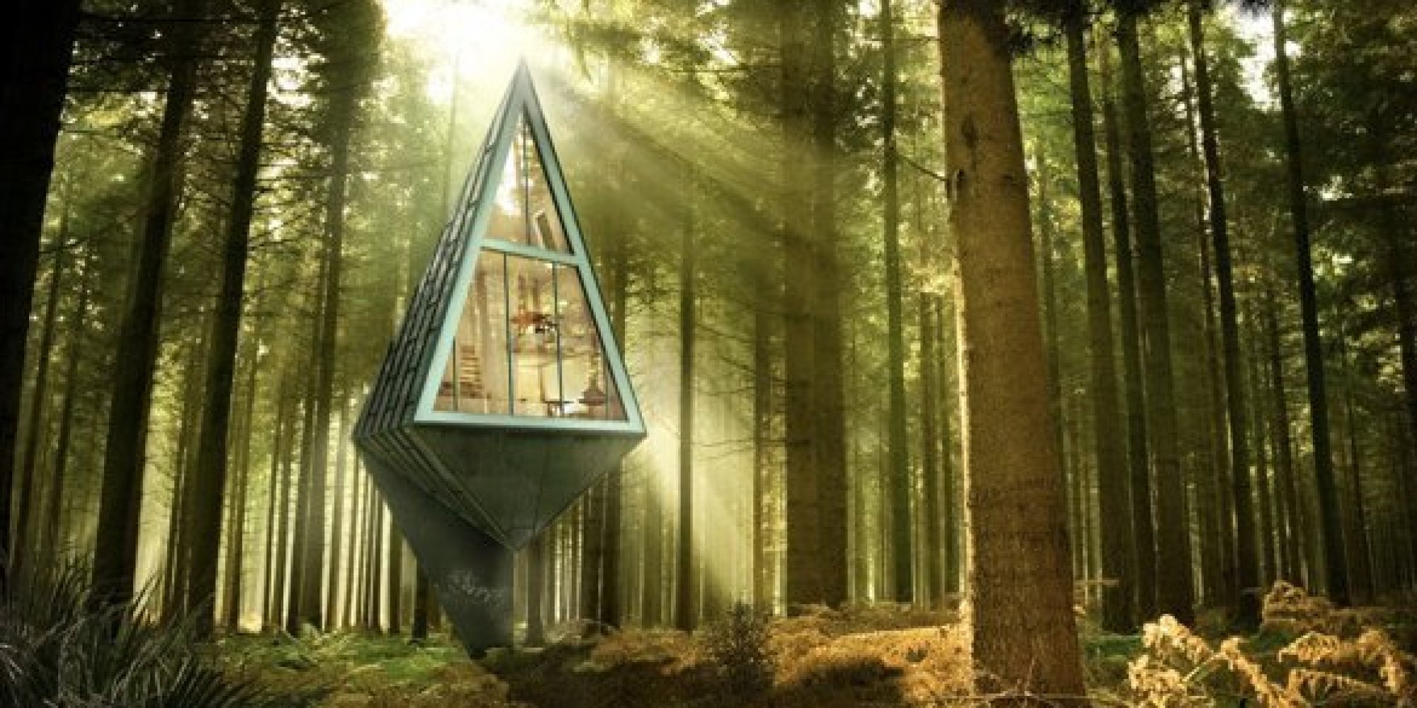 Konrad Wojcik S Primeval Symbiosis Home Could Be The Coolest Thing Ever Photos Huffpost