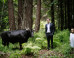 The Stylistic Wildness of San Fermin