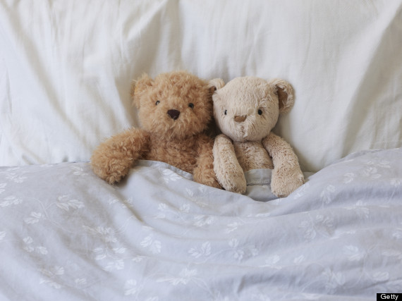 o-TEDDY-BEAR-BED-570.jpg?1