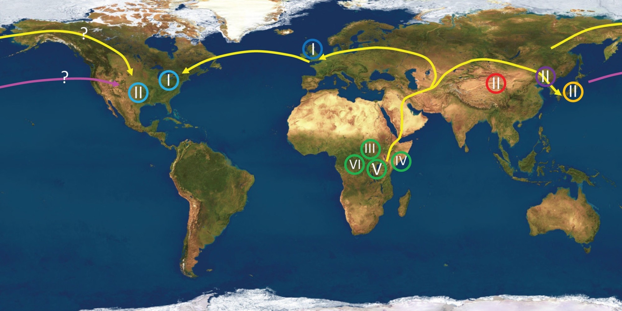 herpes-study-confirms-human-migration-patterns-map