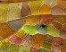 What Is That? 10 Amazing Photos Show It Can Be Hard To Tell Close Up From Far Away