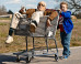 'Bad Grandpa' Box Office: 'Jackass' Movie Dethrones 'Gravity'