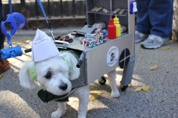 food truck pup