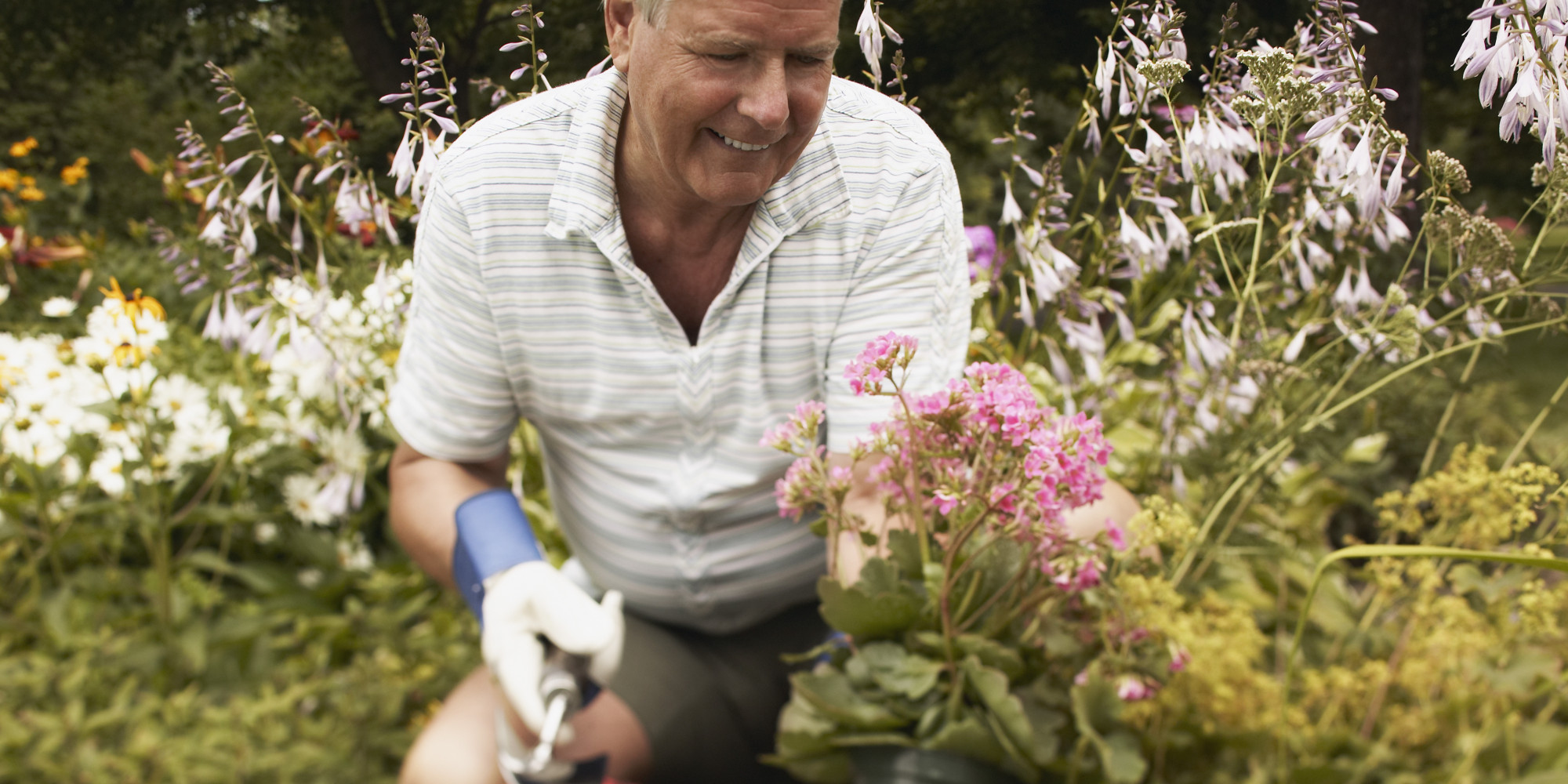Ergonomic Tools That Can Ease Gardening Pains HuffPost