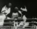 Thomas Edison Films Boxing Cats In What Might Be The First Cat Video Ever