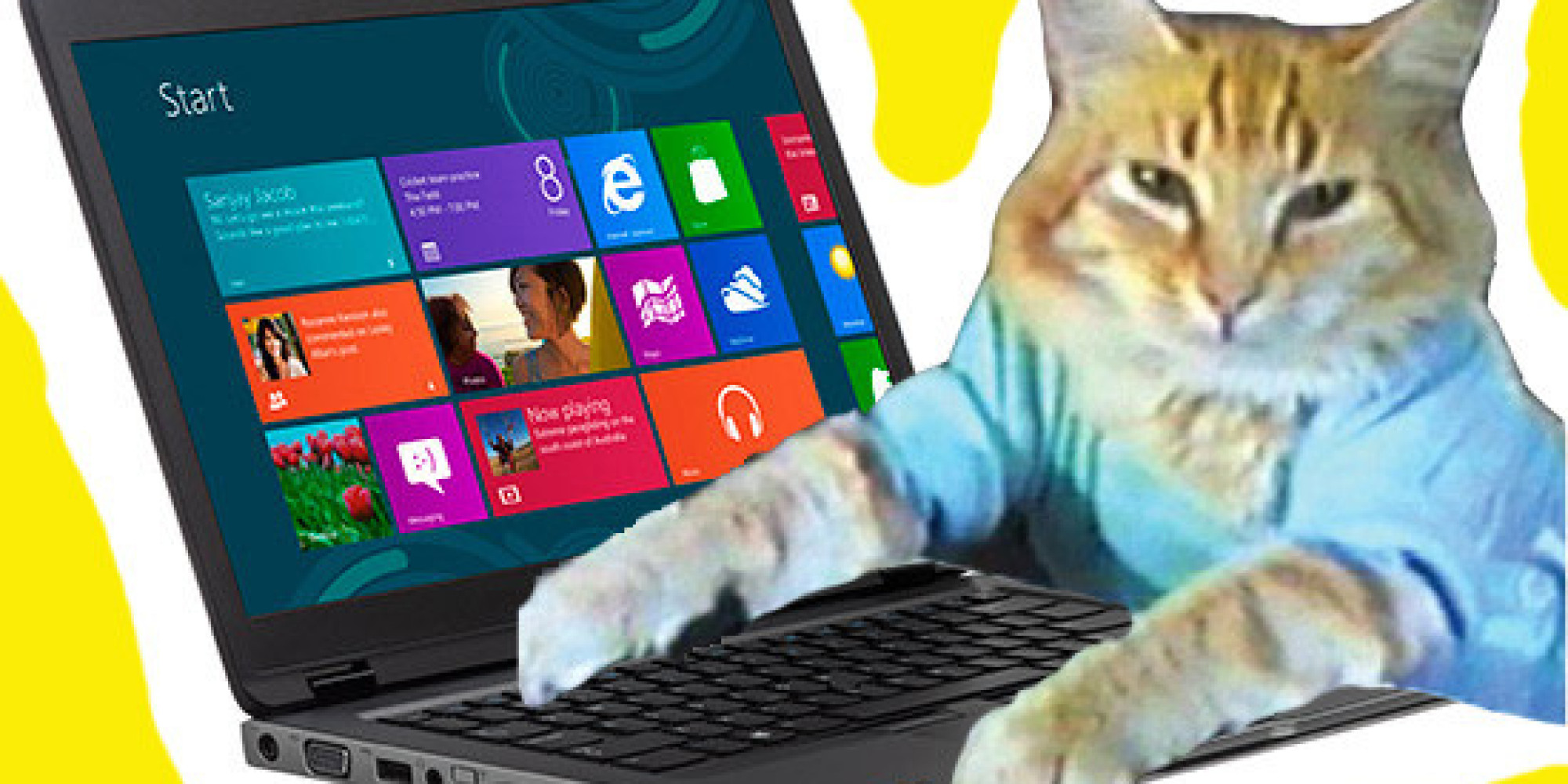 Dell Says Cat Pee Smell In Laptops Is Neither Urine Nor Hazardous
