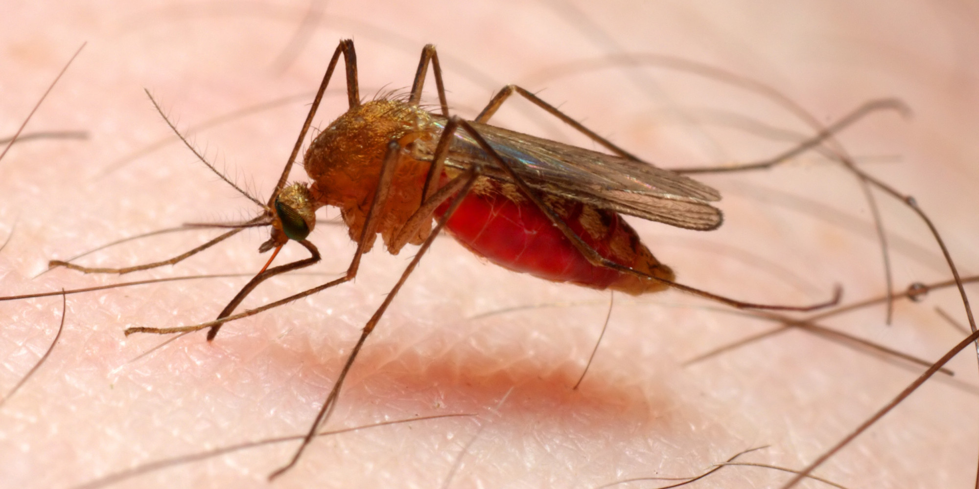 What Are The Preventive Measures Of Malaria In A Community