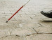 The Blind Have A Hard Time Getting Jobs Because Of Social Stigma
