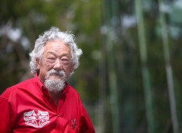 [Image: n-DAVID-SUZUKI-large.jpg?15]