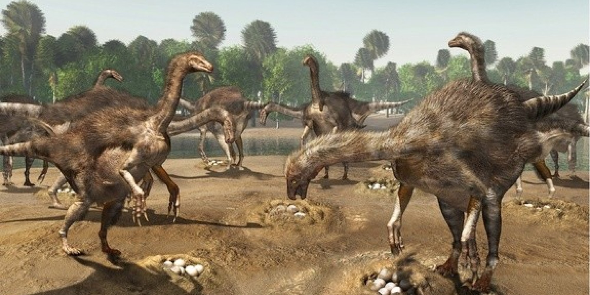 Dinosaur Nests In Mongolia Found Full Of Eggs Of Big