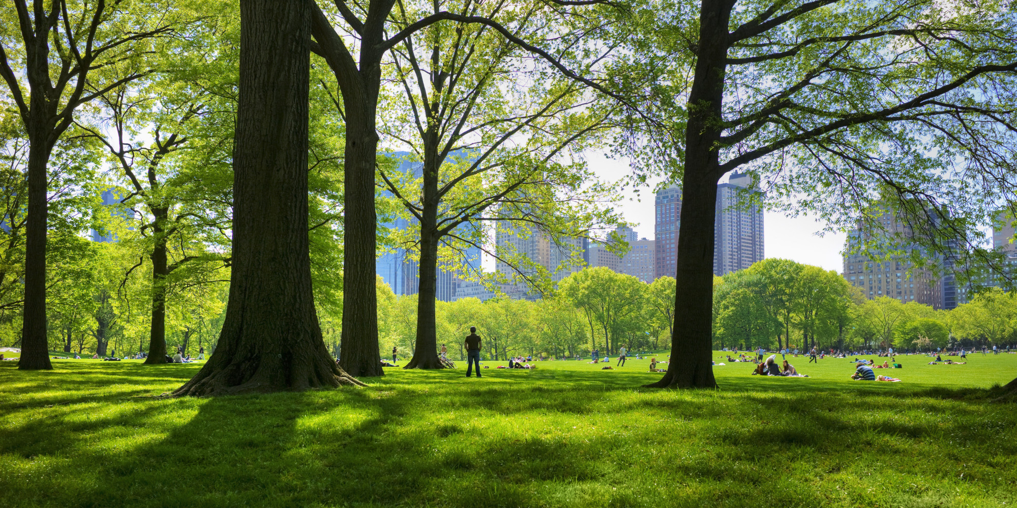 Voting for Parks | HuffPost