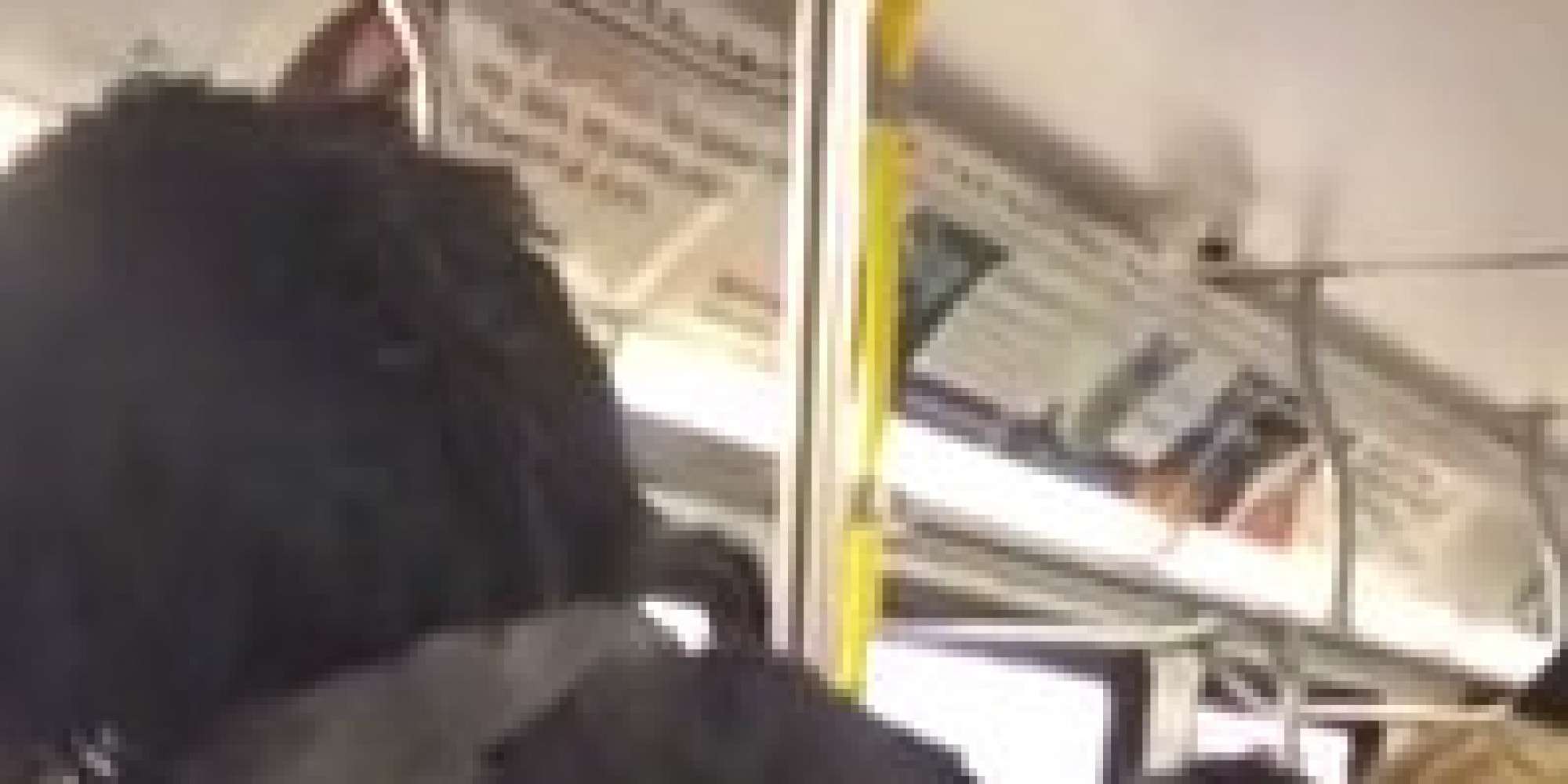 Man Angry With Illinois Gay Marriage Vote Unleashes Epic Rant On Chicago Bus Nsfw Video Huffpost
