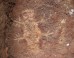 Ancient Cave Drawings Found In Brazil Depict Armadillos, Other Animals (PHOTOS)