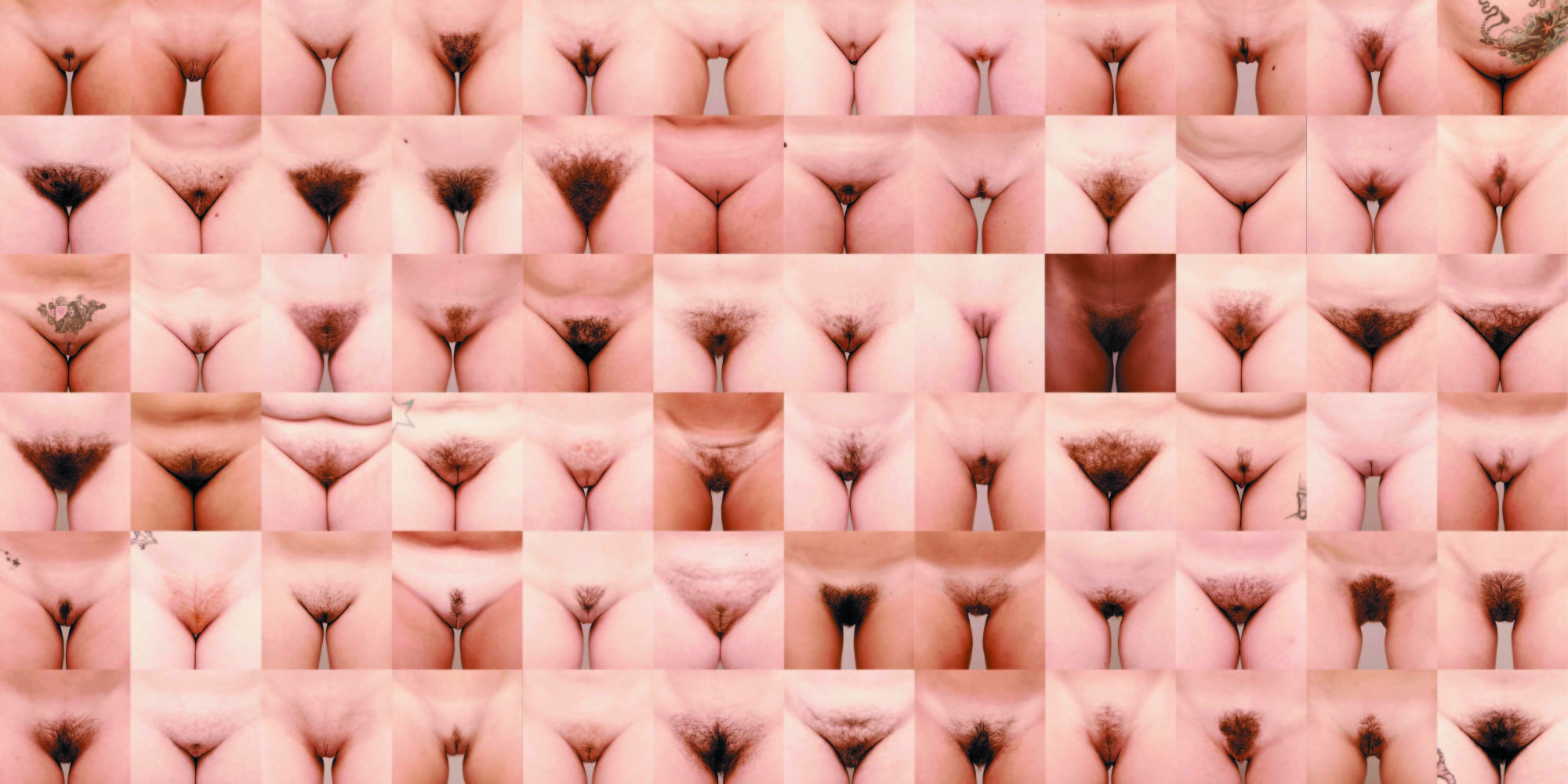 Pictures Of Hairy Vaginas 45