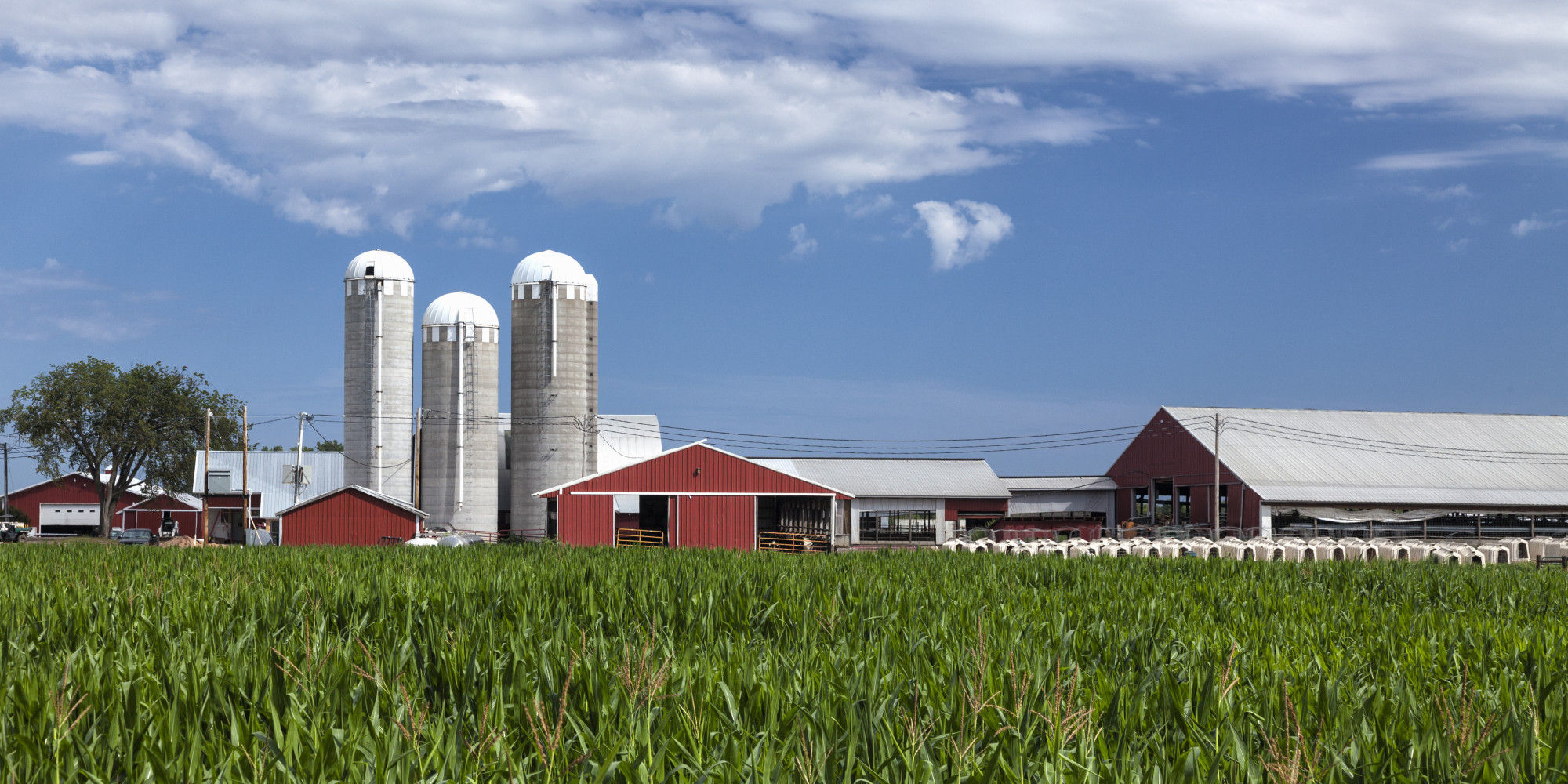 Soaring Farmland Prices A Crisis In The Making Don Pittis