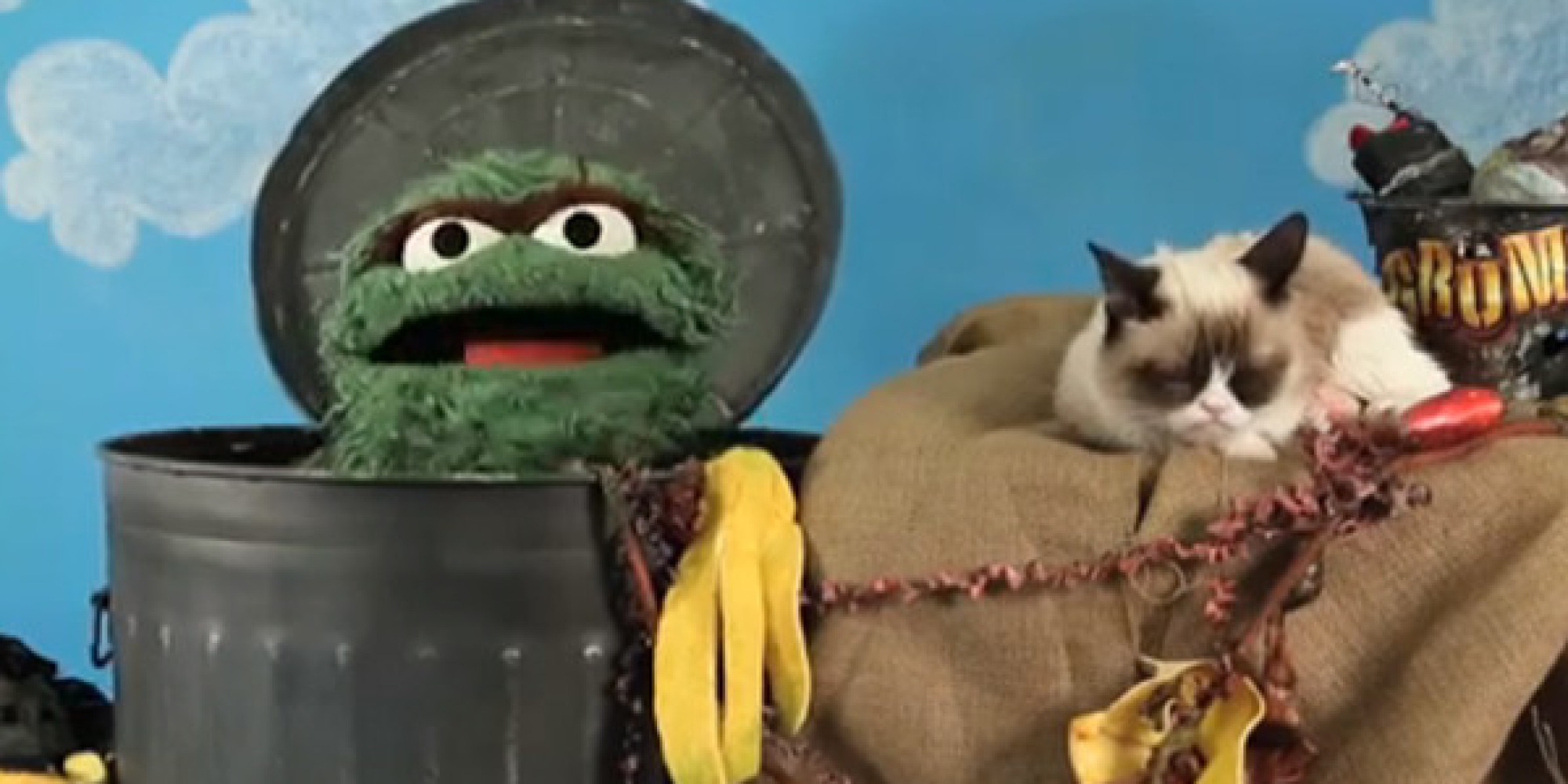 Grumpy Cat Vs Oscar The Grouch One Epic And Adorable Battle Huffpost