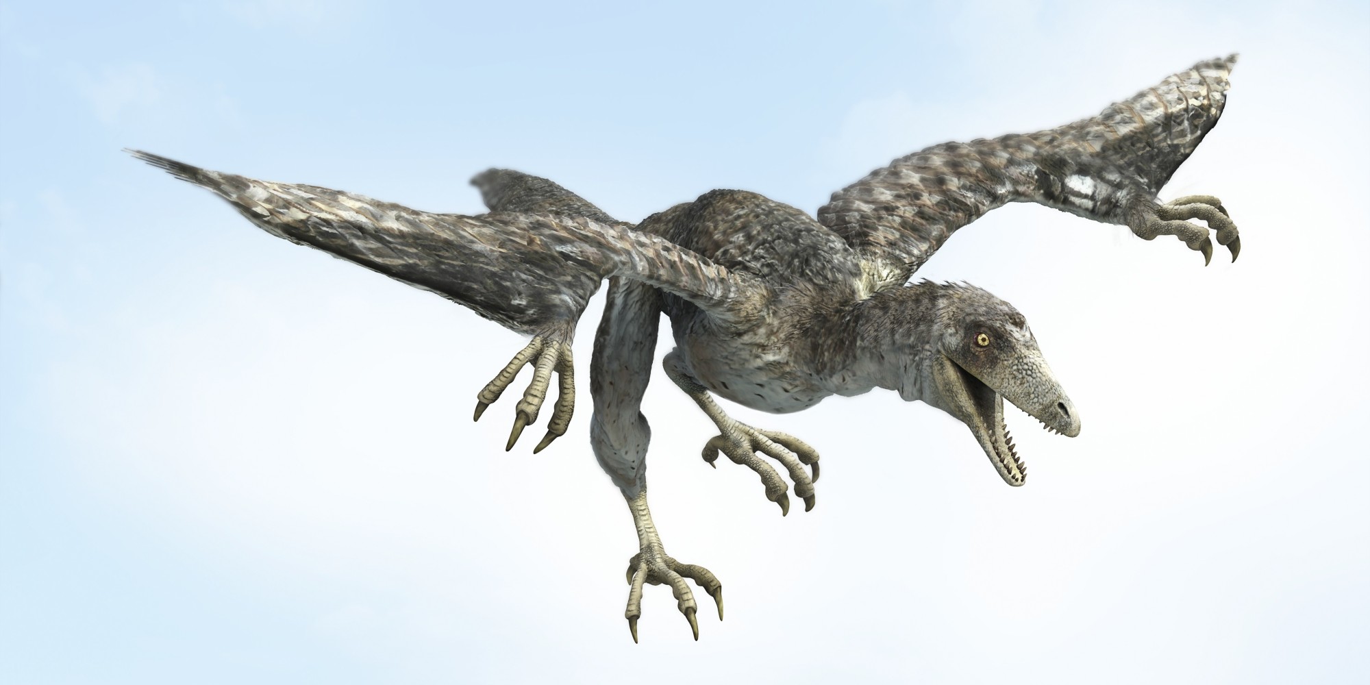 Proto-Bird Archaeopteryx Lost Its Ability To Fly ...