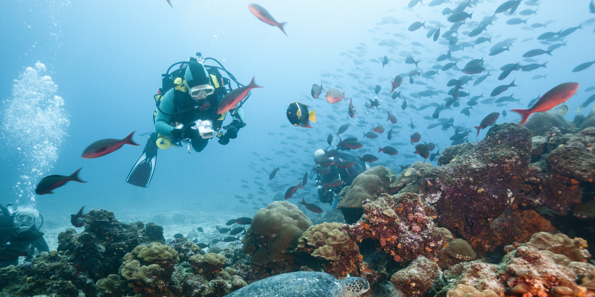 An Underwater Photo Tour of the Galápagos Islands Conde Nast Traveler