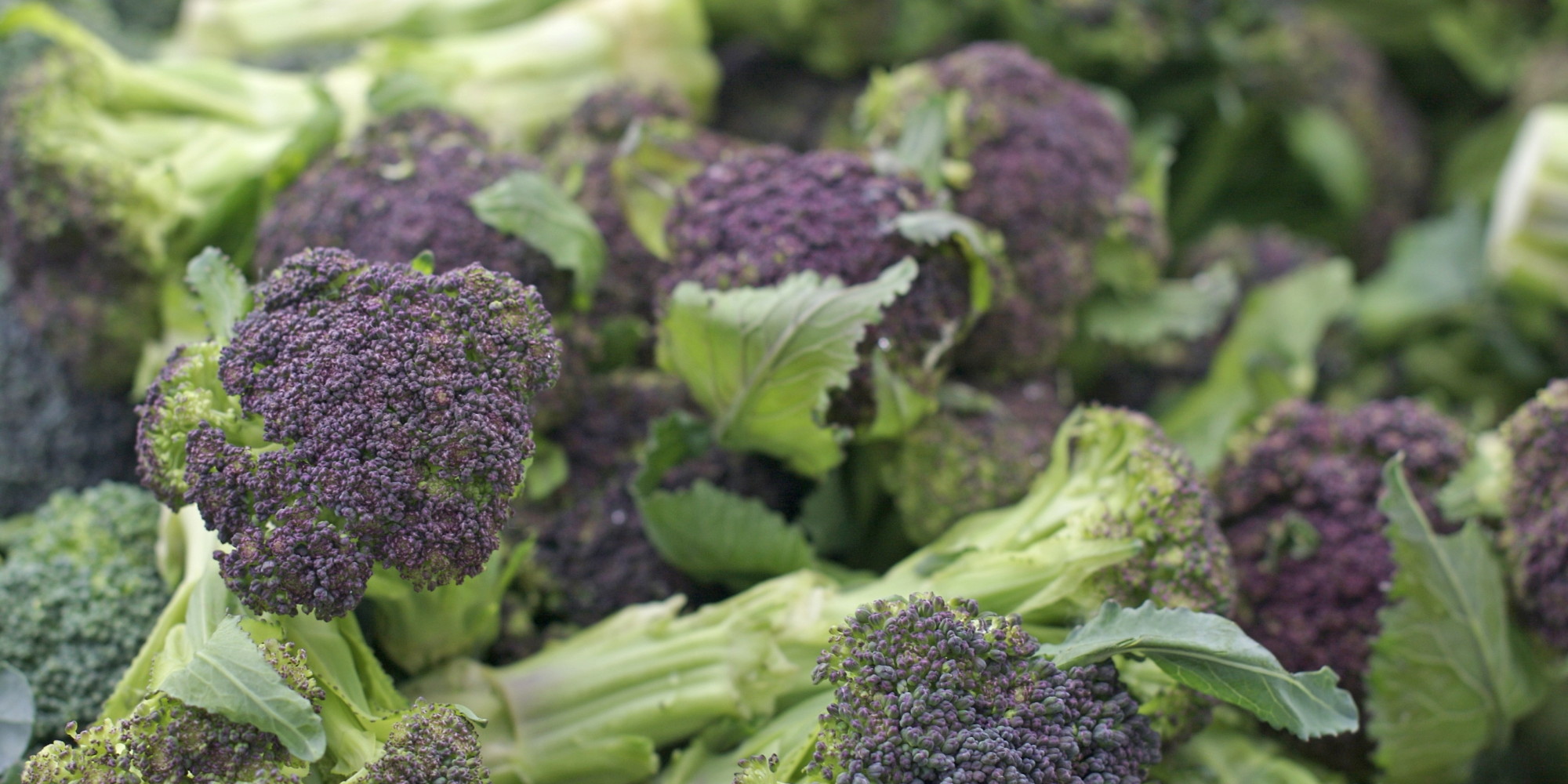 In Season Purple Sprouting Broccoli HuffPost UK