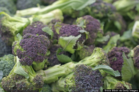 purple broccoli