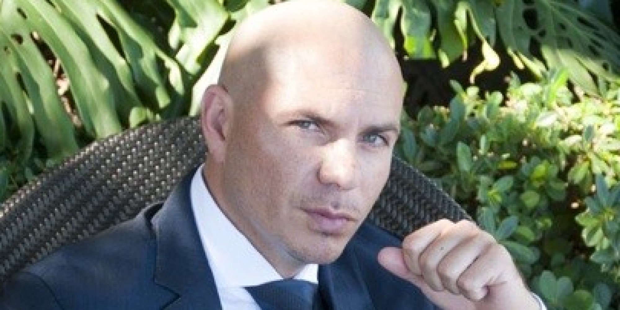 Pitbull Artist