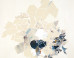 Val Britton on the ImageBlog