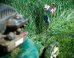 Paul Armstrong, Photographer, Gets Really Big, Super Small In AMAZING Selfie Project