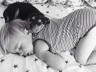 Boy and his dog take Internet by storm
