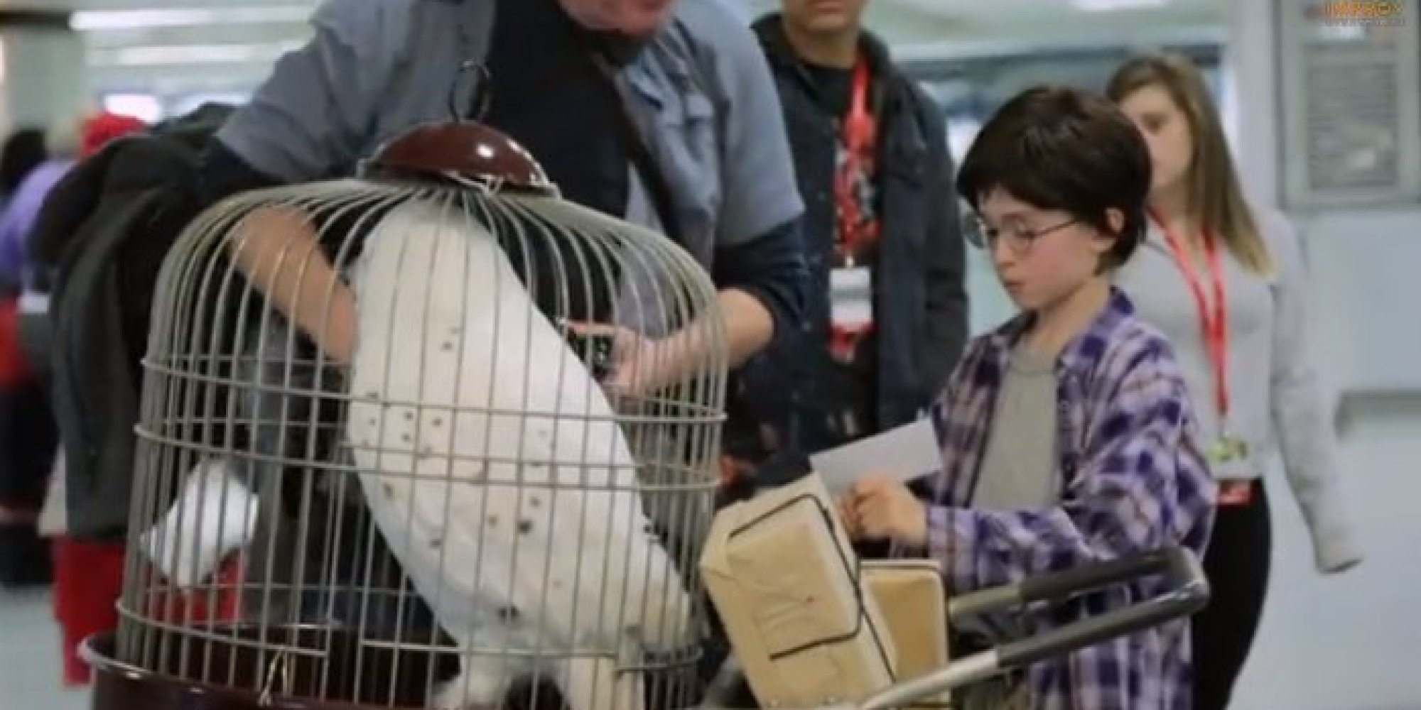 Harry Potter In Real Life: Improv Everywhere Sends Harry To Penn