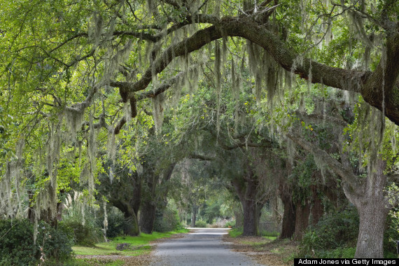 Charleston, South Carolina Is Officially The Best City In The World O-200440398001-570