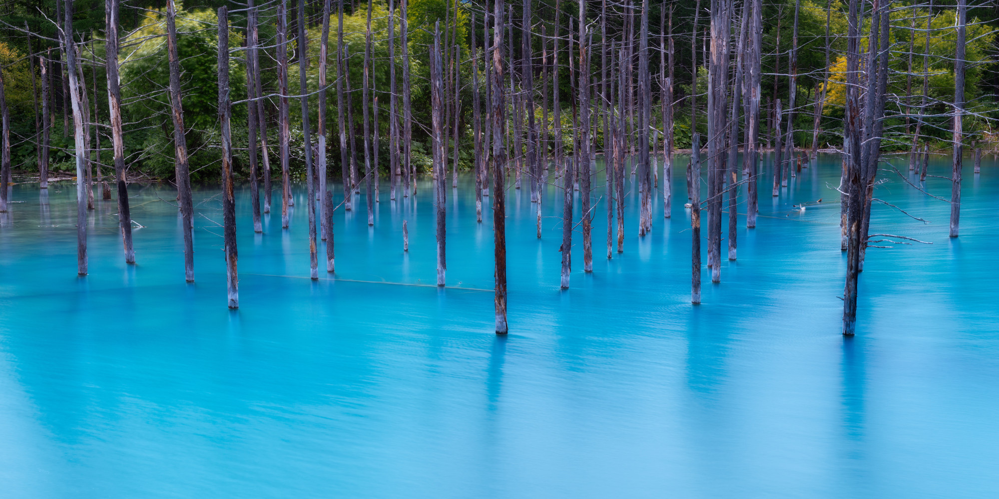 A Pond So Beautiful It Belongs On Your Desktop Screensaver | HuffPost