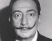 Dalí on Display