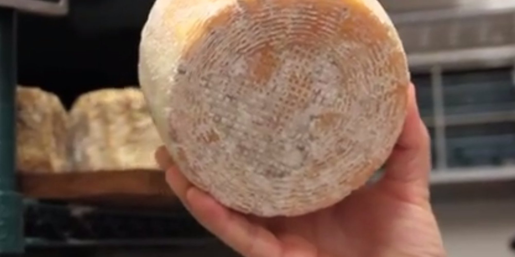 The Human Cheeses Made From Armpit, Feet And Bellybutton Bacteria