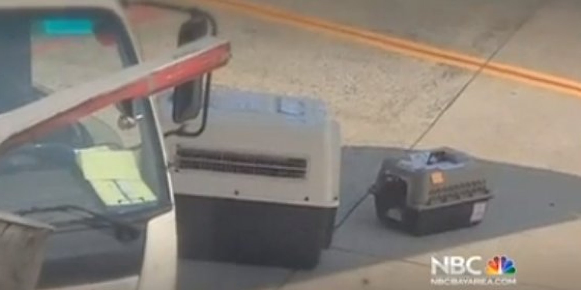 Woman Claims United Airlines Almost Killed Her Dog, Details Harrowing