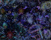 Doug Argue on the ImageBlog