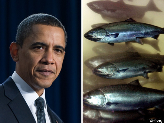 Obama Fishing