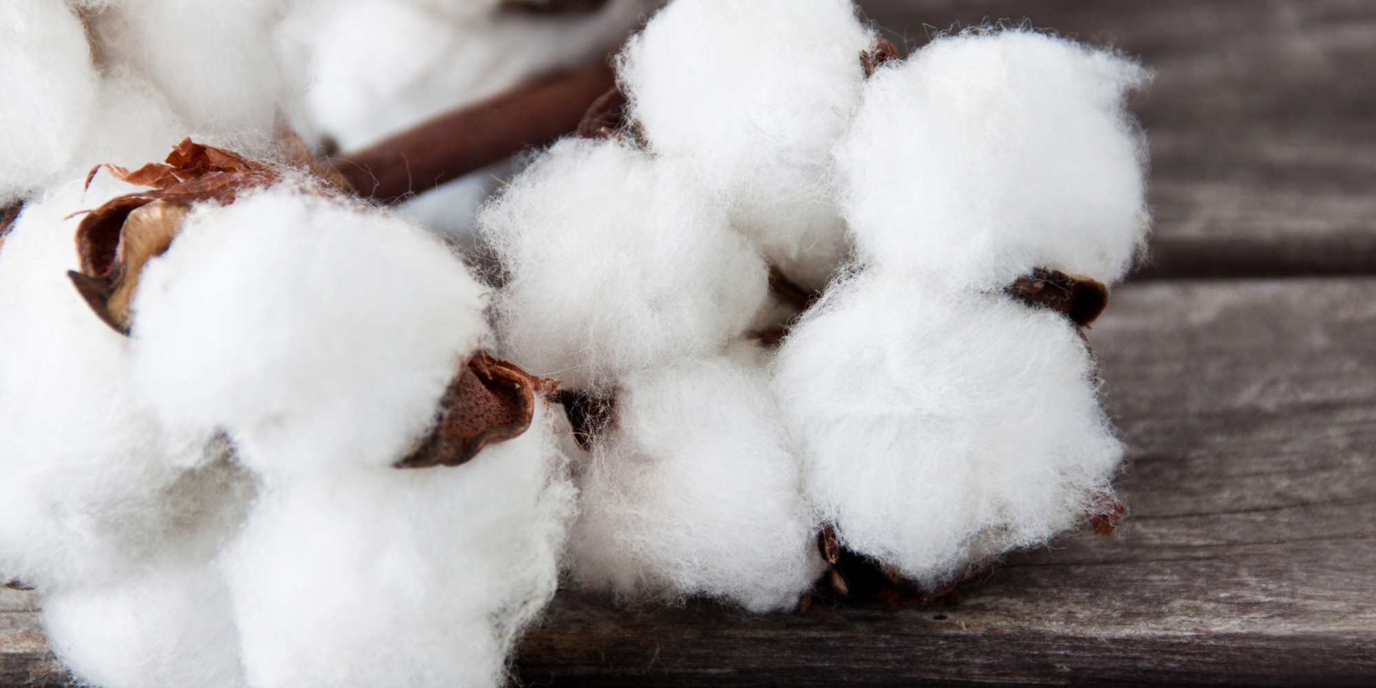 Cotton Ball Diet Whether It Is Or Isn't A Trend, It's Still Something