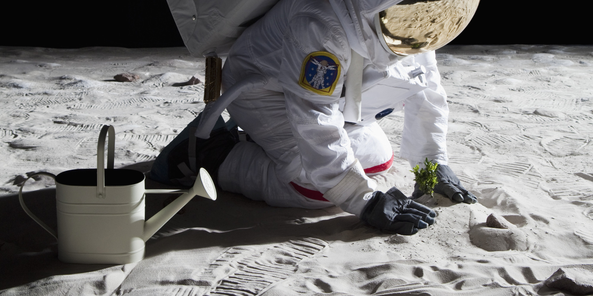 nasa-to-grow-plants-on-the-moon-by-2015-with-the-help-of-some-kids